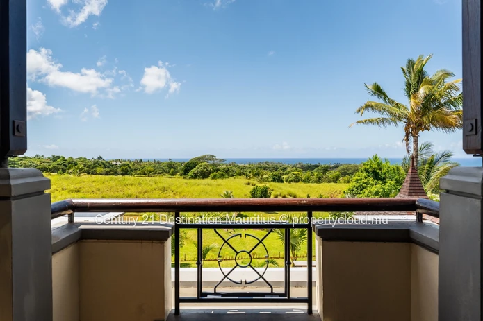 Extraordinary in an Exceptional Estate