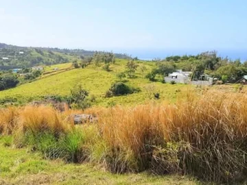 Land