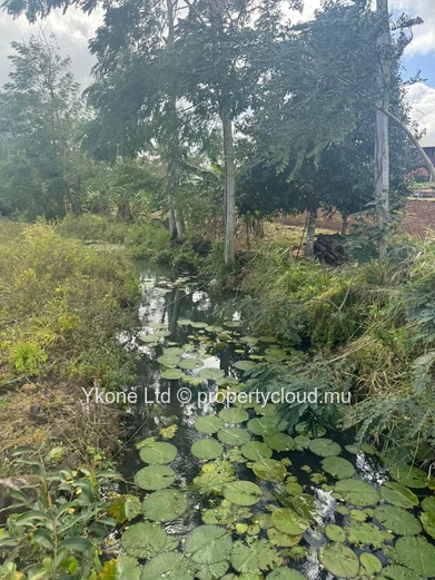 Commercial Land For Sale In Calebasses