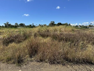 Residential Land