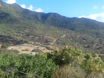 Terrain Résidentiel