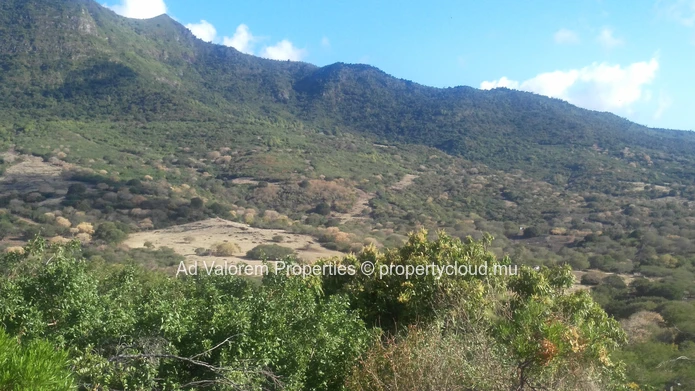 Magnificent plot of land for sale in Rivière Noire.