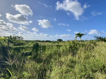 Agricultural Land