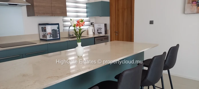 Stunning Penthouse 360' D  Mount Seaview