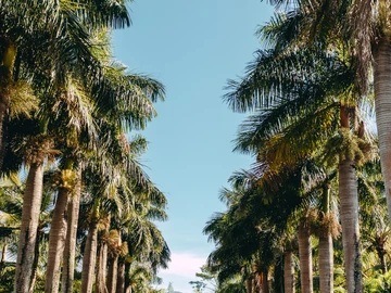 Residential Land