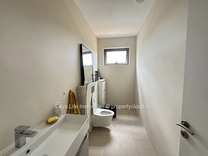 House for Sale Black River