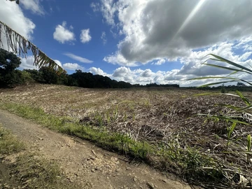 Terrain Agricole
