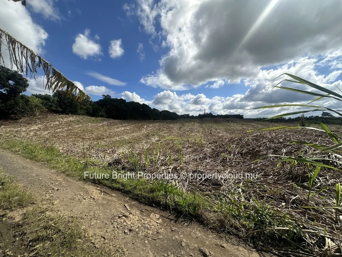 Terrain agricole de 12 029 m² à vendre à Melrose