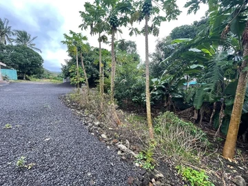 Residential Land