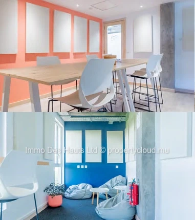 Office space for rent Pointe aux Canonniers 