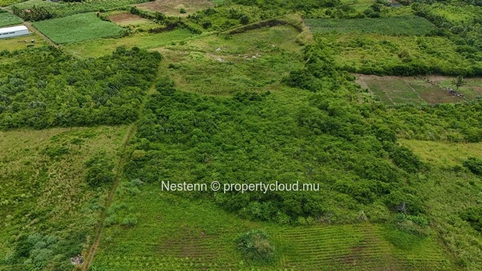 Agricultural land of 12,491.13 m², ideally located in the peaceful and green surroundings 