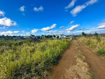 Land