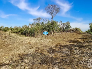Land