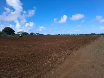 Commercial Land