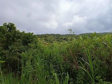 Terrain Agricole