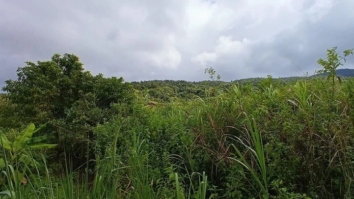 Terrain agricole exceptionnel de 4221 m² à Chamouny