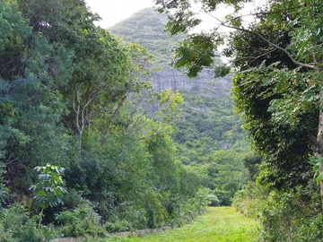 Terrain Résidentiel