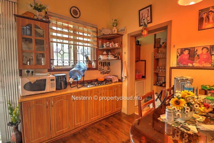 Spacious family house - St Paul