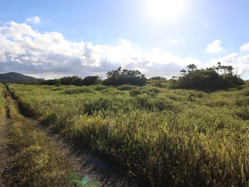 Agricultural Land