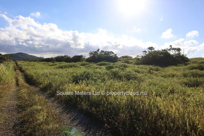 Terrain agricole de 2 111 m² à vendre à Melrose (Mandat exclusif)