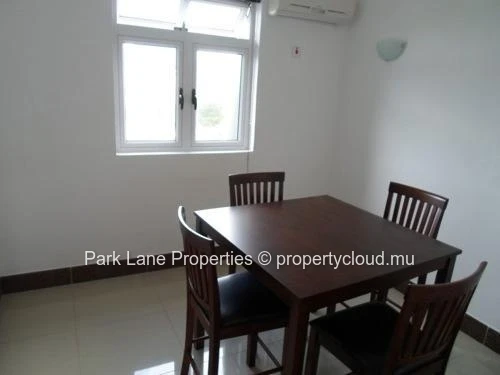 Semi furnished penthouse apartment