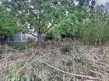 Land