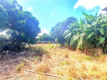 Terrain