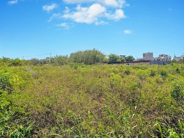 Terrain