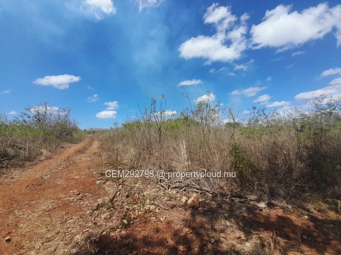 3 Arpents + 50 perches Beachfront Land For Sale – Balaclava