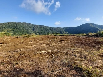 Agricultural Land