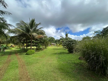 Terrain