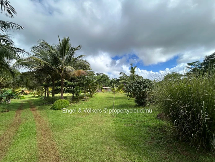 Commercial Land for Sale in Montagne Blanche — A Unique Investment Opportunity