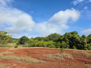 Residential Land