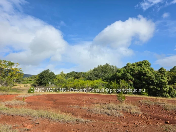 Investissement immobilier au Domaine de Palmyre : Terrain résidentiel de 4 222 m² à vendre.