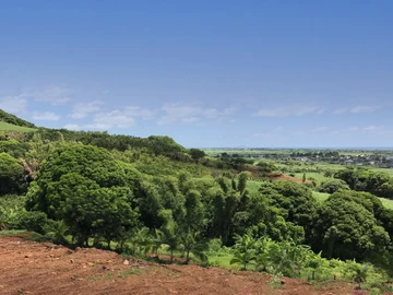 Terrain
