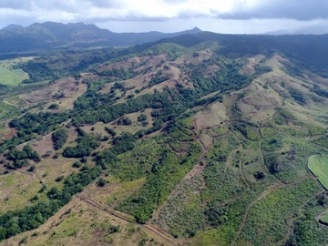 Terrain Résidentiel