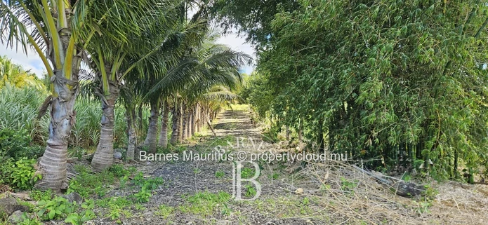 2 Bras - Terrain Agricole - 31 Arpents