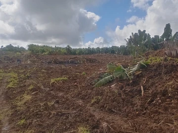 Agricultural Land