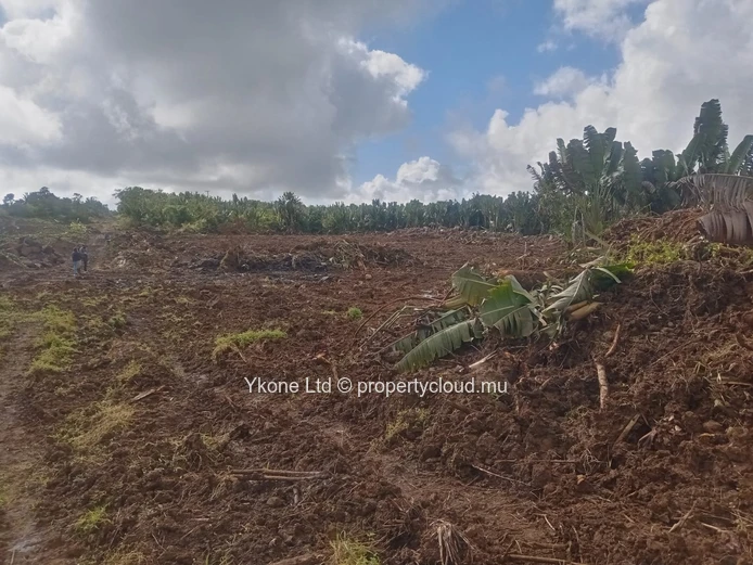 Terrain Agricole En Vente À Beau Climat