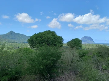 Residential Land