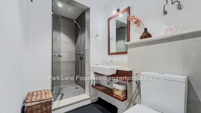 Modern & elegant studio in the heart of Ebène – Prime investment opportunity
