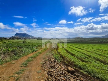 Terrain Agricole
