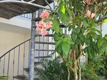 Appartement de 2 Chambres