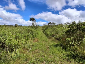 Terrain Agricole