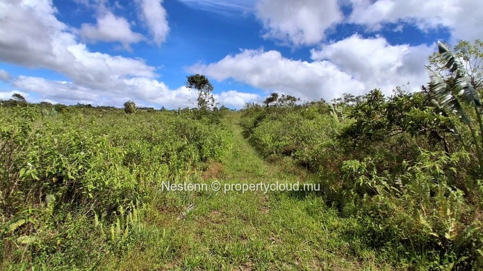 A vast plot of land, thousands of possibilities — 36,332 m² in L'Espérance