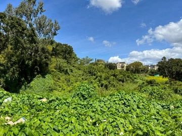 Residential Land