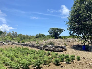 Agricultural Land