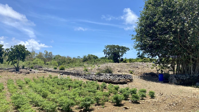 Agricultural land 6,234m2 in St Antoine