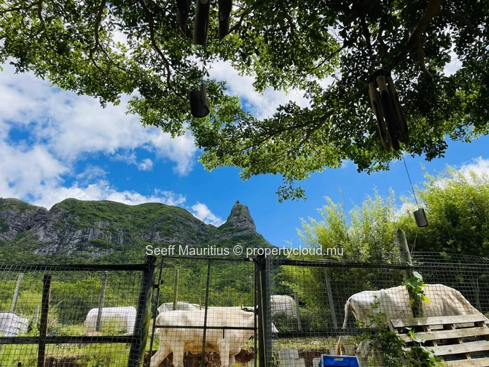 Ferme au Pied de Pieter Both – Un Mélange Unique de Nature et de Confort