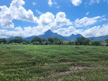 Terrain Résidentiel